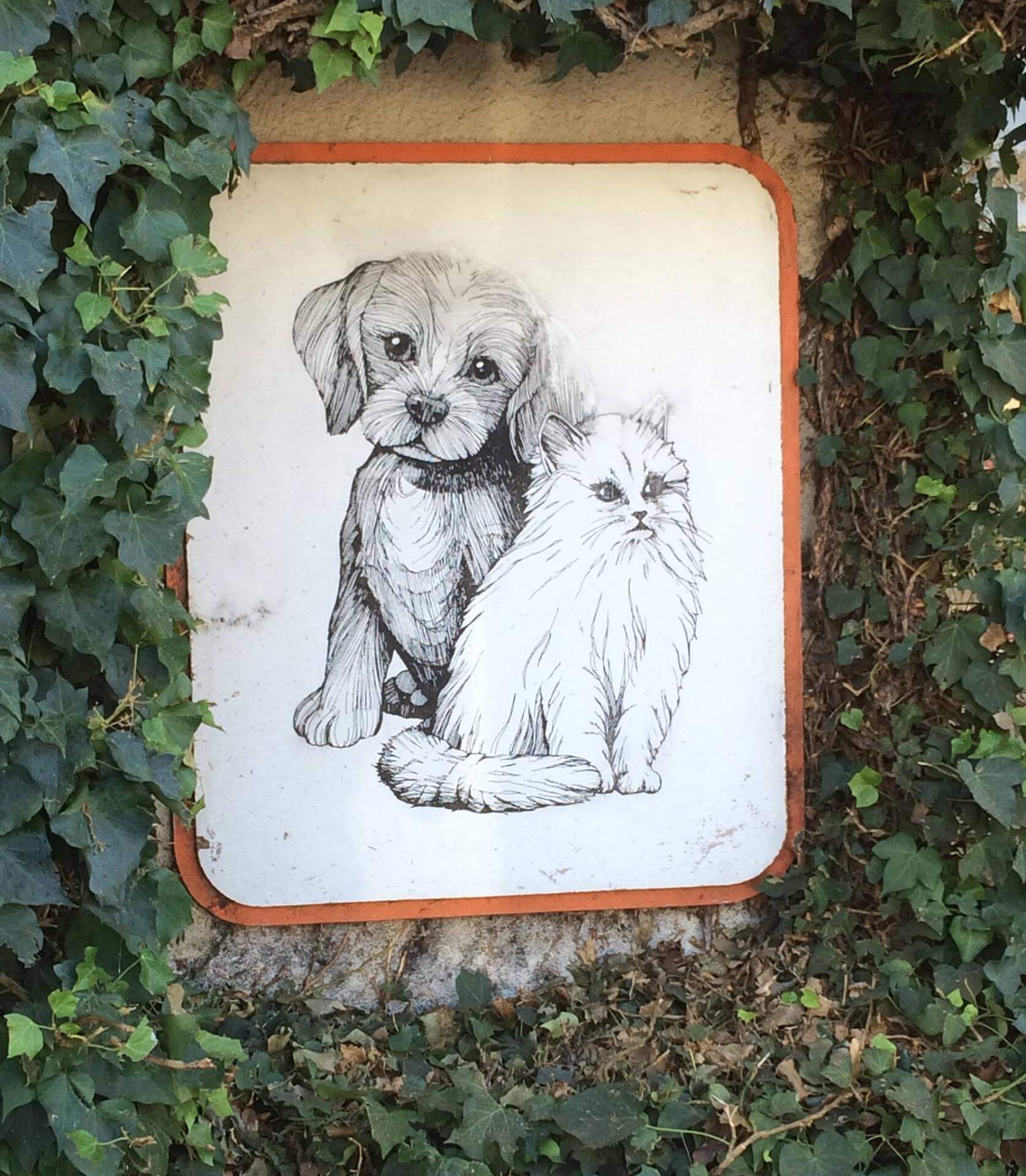 Animal Hospital in Fairfield